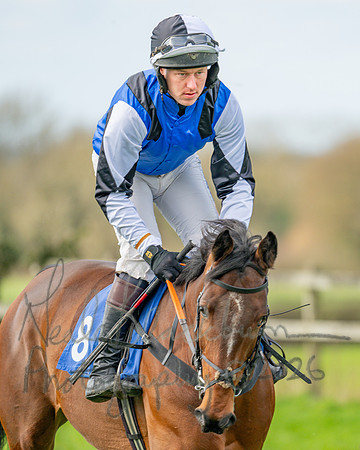 Race 1 - The Four and Five years olds Maiden race over 2m 5f (22 of 105)