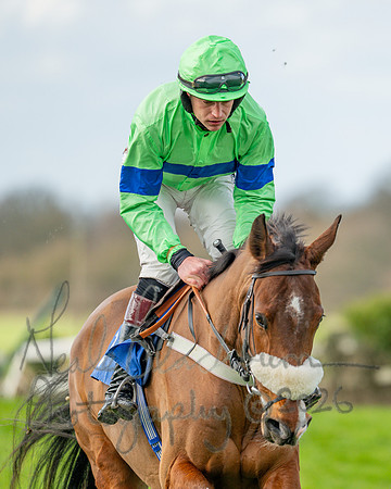 Race 1 - The Four and Five years olds Maiden race over 2m 5f (31 of 105)