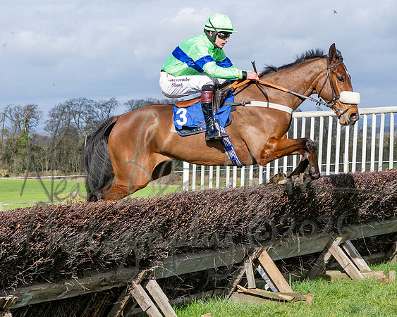 Race 1 - The Four and Five years olds Maiden race over 2m 5f (34 of 105)