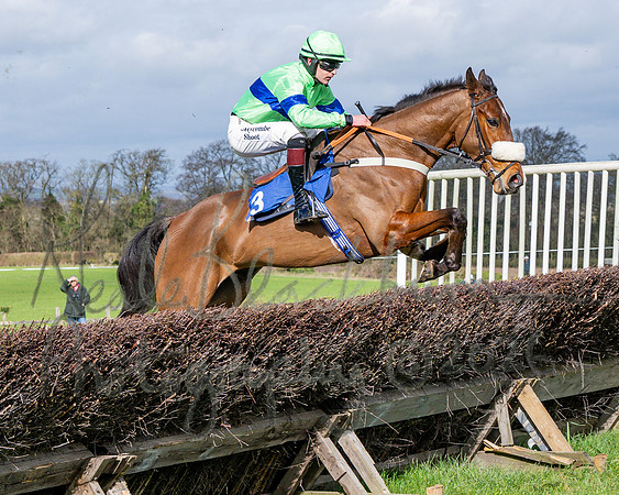 Race 1 - The Four and Five years olds Maiden race over 2m 5f (33 of 105)