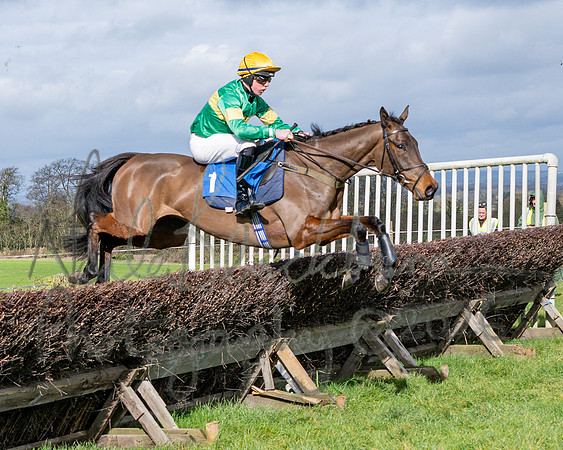 Race 1 - The Four and Five years olds Maiden race over 2m 5f (45 of 105)