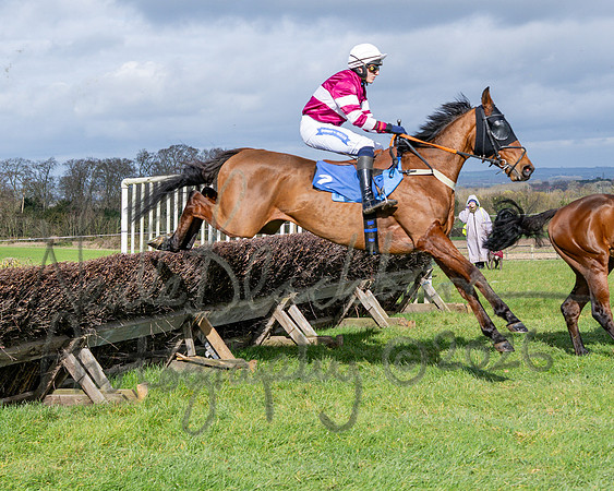 Race 1 - The Four and Five years olds Maiden race over 2m 5f (42 of 105)