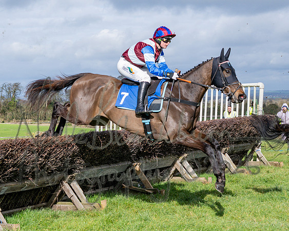 Race 1 - The Four and Five years olds Maiden race over 2m 5f (49 of 105)