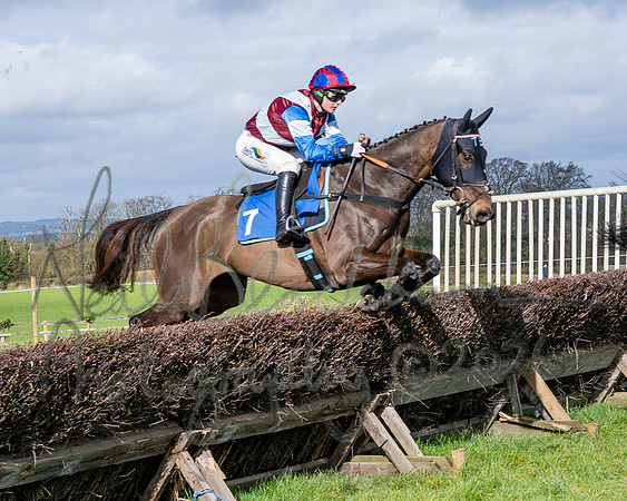 Race 1 - The Four and Five years olds Maiden race over 2m 5f (47 of 105)