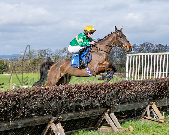 Race 1 - The Four and Five years olds Maiden race over 2m 5f (43 of 105)