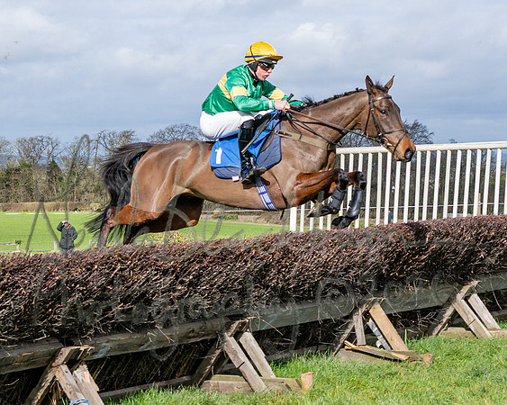 Race 1 - The Four and Five years olds Maiden race over 2m 5f (44 of 105)