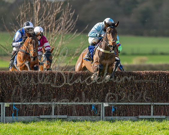 Race 1 - The Four and Five years olds Maiden race over 2m 5f (51 of 105)