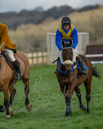 Race 3 - The Maiden Conditions Race over 3 Miles (8 of 118)