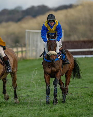 Race 3 - The Maiden Conditions Race over 3 Miles (7 of 118)