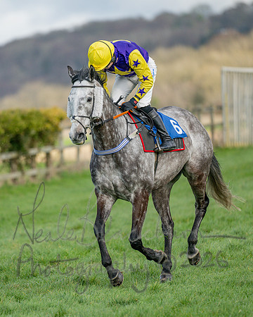 Race 3 - The Maiden Conditions Race over 3 Miles (9 of 118)