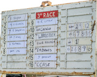 Race 3 - The Maiden Conditions Race over 3 Miles (1 of 118)