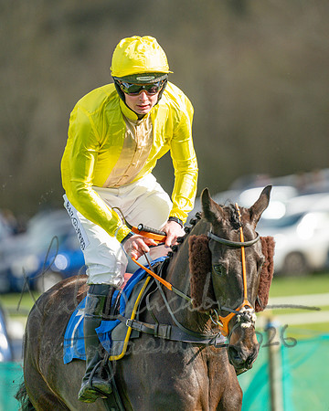 Race 3 - The Maiden Conditions Race over 3 Miles (13 of 118)