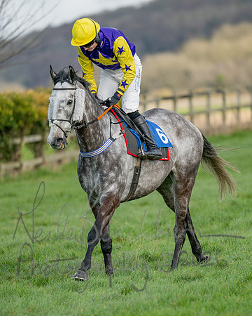 Race 3 - The Maiden Conditions Race over 3 Miles (10 of 118)