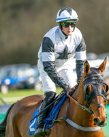 Race 3 - The Maiden Conditions Race over 3 Miles (15 of 118)