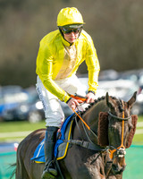 Race 3 - The Maiden Conditions Race over 3 Miles (14 of 118)