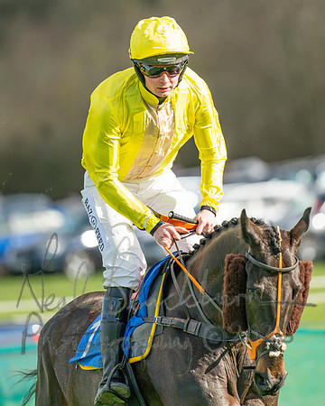 Race 3 - The Maiden Conditions Race over 3 Miles (14 of 118)
