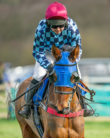 Race 3 - The Maiden Conditions Race over 3 Miles (27 of 118)