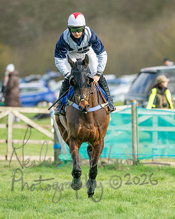 Race 3 - The Maiden Conditions Race over 3 Miles (30 of 118)