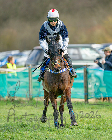 Race 3 - The Maiden Conditions Race over 3 Miles (31 of 118)