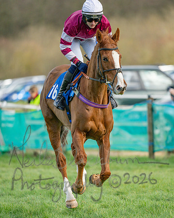Race 3 - The Maiden Conditions Race over 3 Miles (35 of 118)