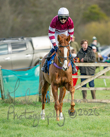 Race 3 - The Maiden Conditions Race over 3 Miles (33 of 118)