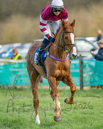 Race 3 - The Maiden Conditions Race over 3 Miles (36 of 118)