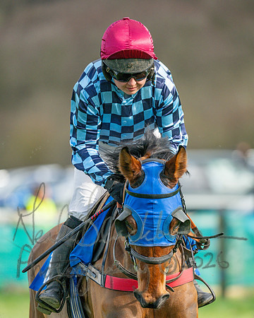 Race 3 - The Maiden Conditions Race over 3 Miles (28 of 118)