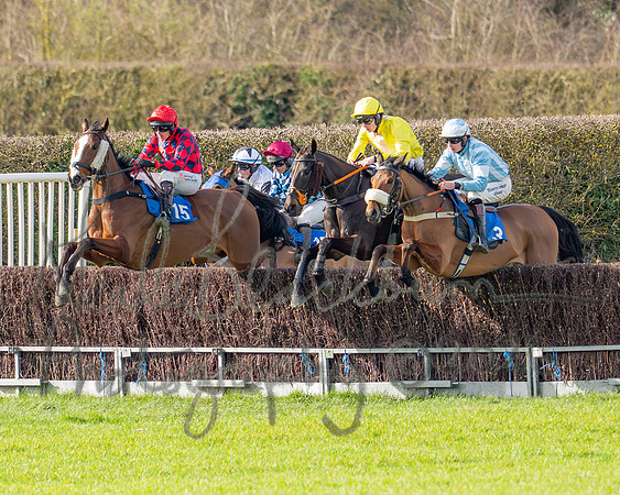 Race 3 - The Maiden Conditions Race over 3 Miles (42 of 118)