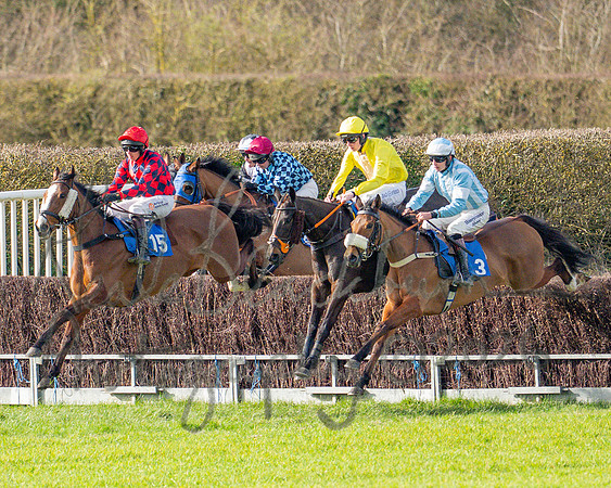 Race 3 - The Maiden Conditions Race over 3 Miles (45 of 118)