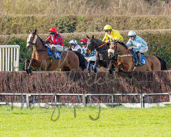 Race 3 - The Maiden Conditions Race over 3 Miles (41 of 118)