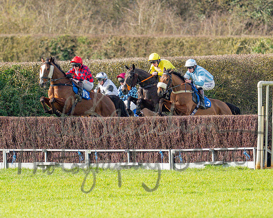 Race 3 - The Maiden Conditions Race over 3 Miles (39 of 118)