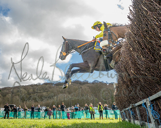 Race 3 - The Maiden Conditions Race over 3 Miles (54 of 118)
