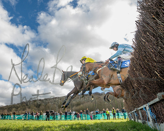 Race 3 - The Maiden Conditions Race over 3 Miles (55 of 118)