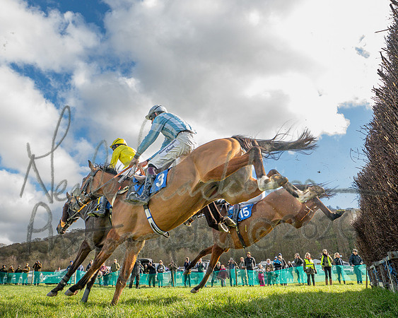 Race 3 - The Maiden Conditions Race over 3 Miles (56 of 118)
