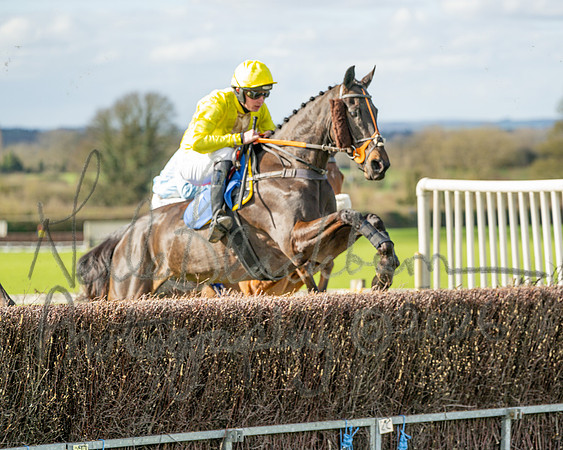 Race 3 - The Maiden Conditions Race over 3 Miles (67 of 118)