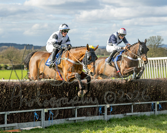 Race 3 - The Maiden Conditions Race over 3 Miles (74 of 118)