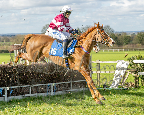 Race 3 - The Maiden Conditions Race over 3 Miles (73 of 118)