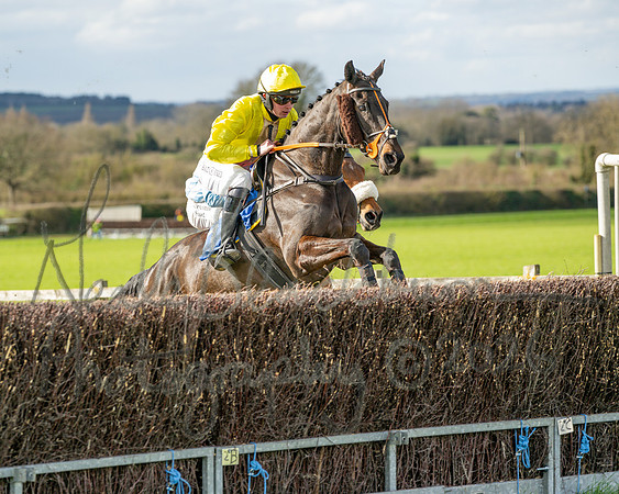 Race 3 - The Maiden Conditions Race over 3 Miles (66 of 118)