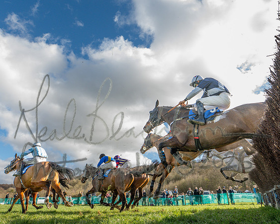 Race 3 - The Maiden Conditions Race over 3 Miles (78 of 118)