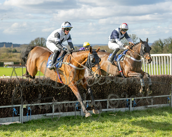 Race 3 - The Maiden Conditions Race over 3 Miles (75 of 118)