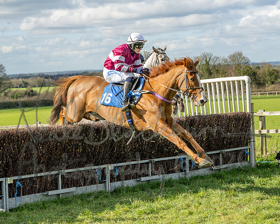 Race 3 - The Maiden Conditions Race over 3 Miles (84 of 118)