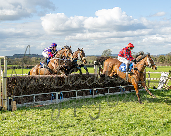 Race 3 - The Maiden Conditions Race over 3 Miles (88 of 118)