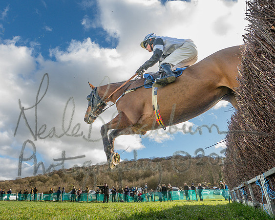 Race 3 - The Maiden Conditions Race over 3 Miles (89 of 118)