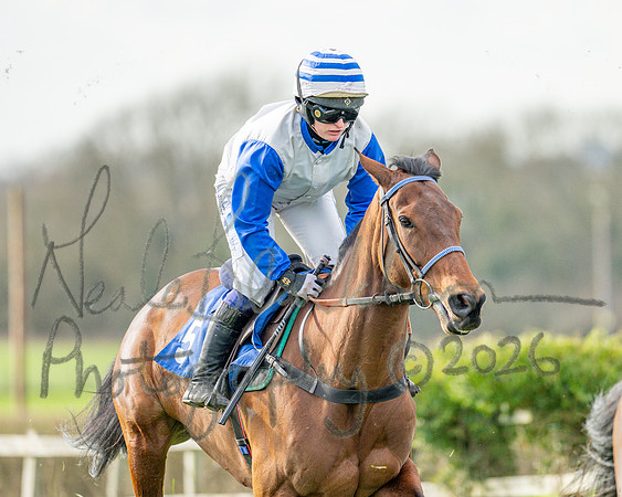 Race 4 - The Jockey Clud0-110 Rated Series Race (22 of 77)