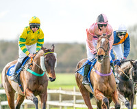 Race 4 - The Jockey Clud0-110 Rated Series Race (18 of 77)