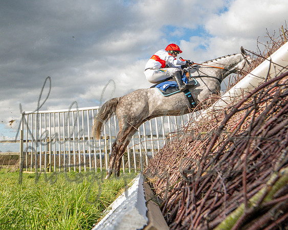 Race 4 - The Jockey Clud0-110 Rated Series Race (40 of 77)