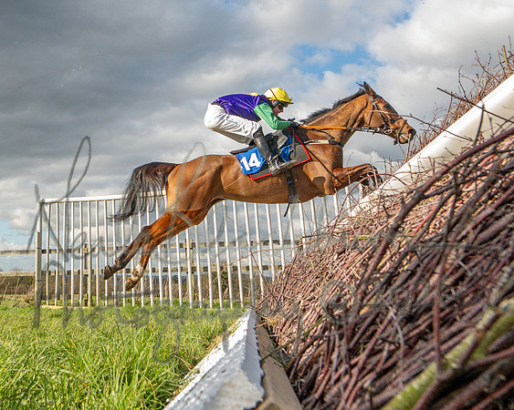 Race 4 - The Jockey Clud0-110 Rated Series Race (42 of 77)