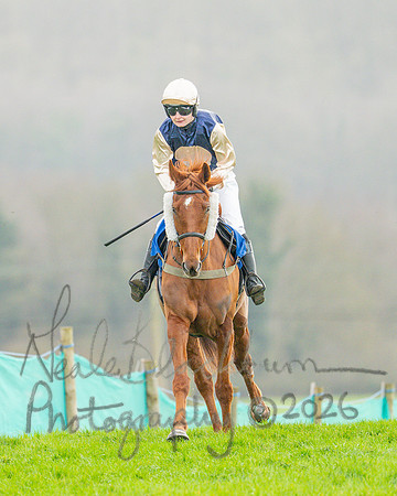 Race 5 - Home Counties Grand National, Mixed Open Race (11 of 138)
