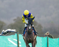 Race 6 - The PPORA Club Members Restricted Race over 2m 5f (2 of 72)