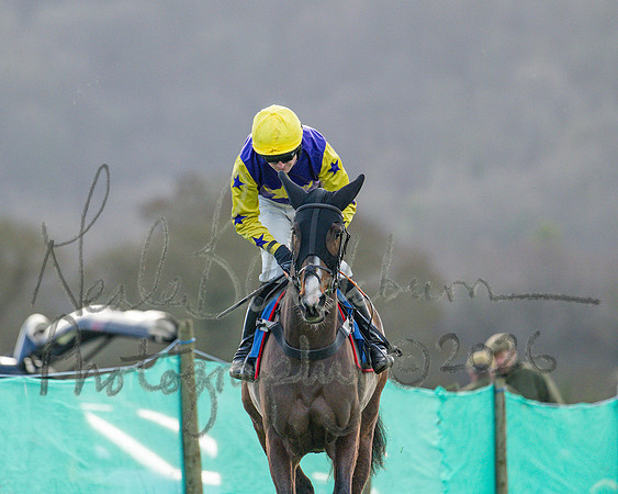 Race 6 - The PPORA Club Members Restricted Race over 2m 5f (2 of 72)